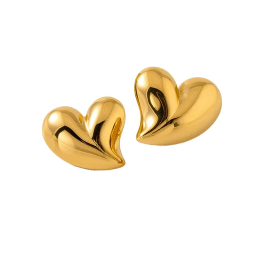 Heart to heart Earrings