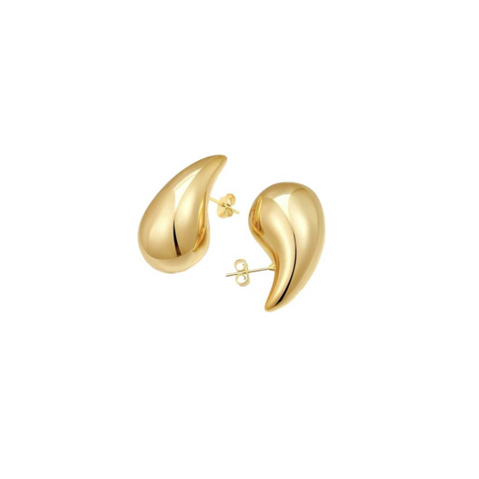 Bottega Earrings