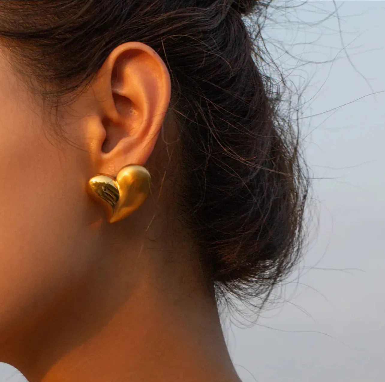 Heart to heart Earrings